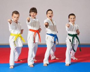 Karate būreliai